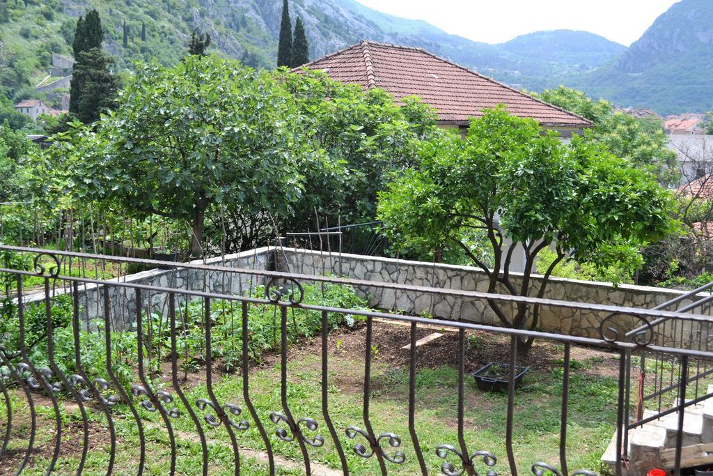 Apartments Villa Marta - Begovic Kotor Exterior foto
